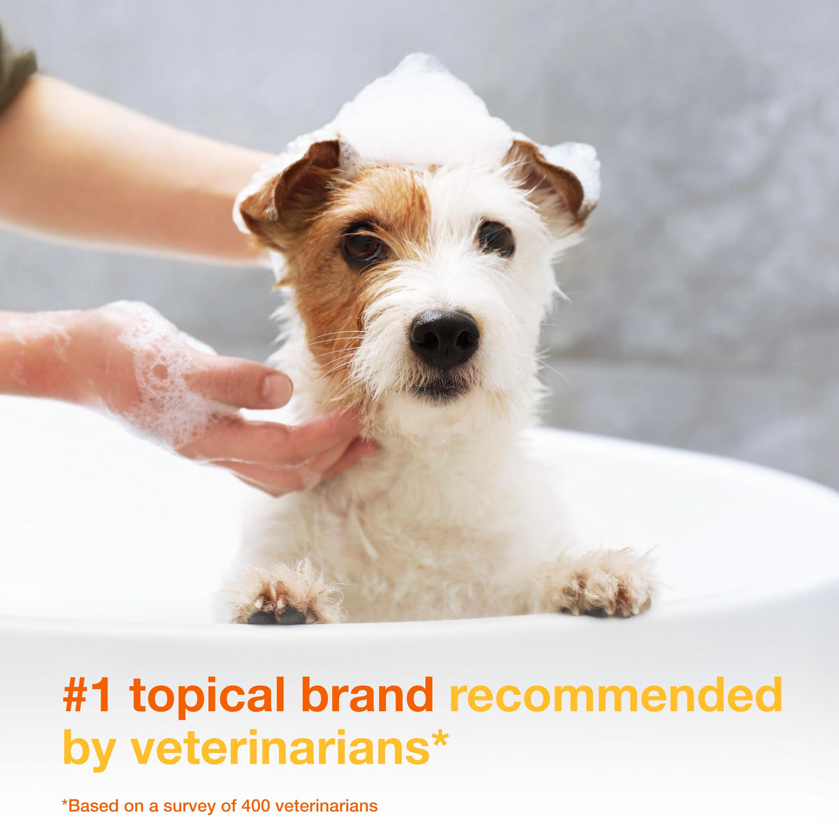 Medicated Dog Shampoo with 3% Chlorhexidine 6.7 fl oz M873