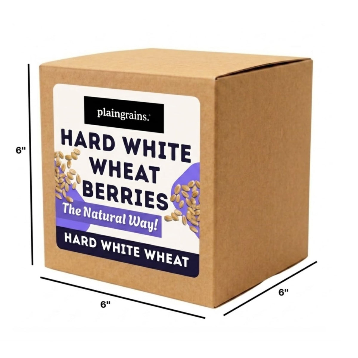 5.5 LB Dry Hard White Wheat Berries Whole Grain R638868