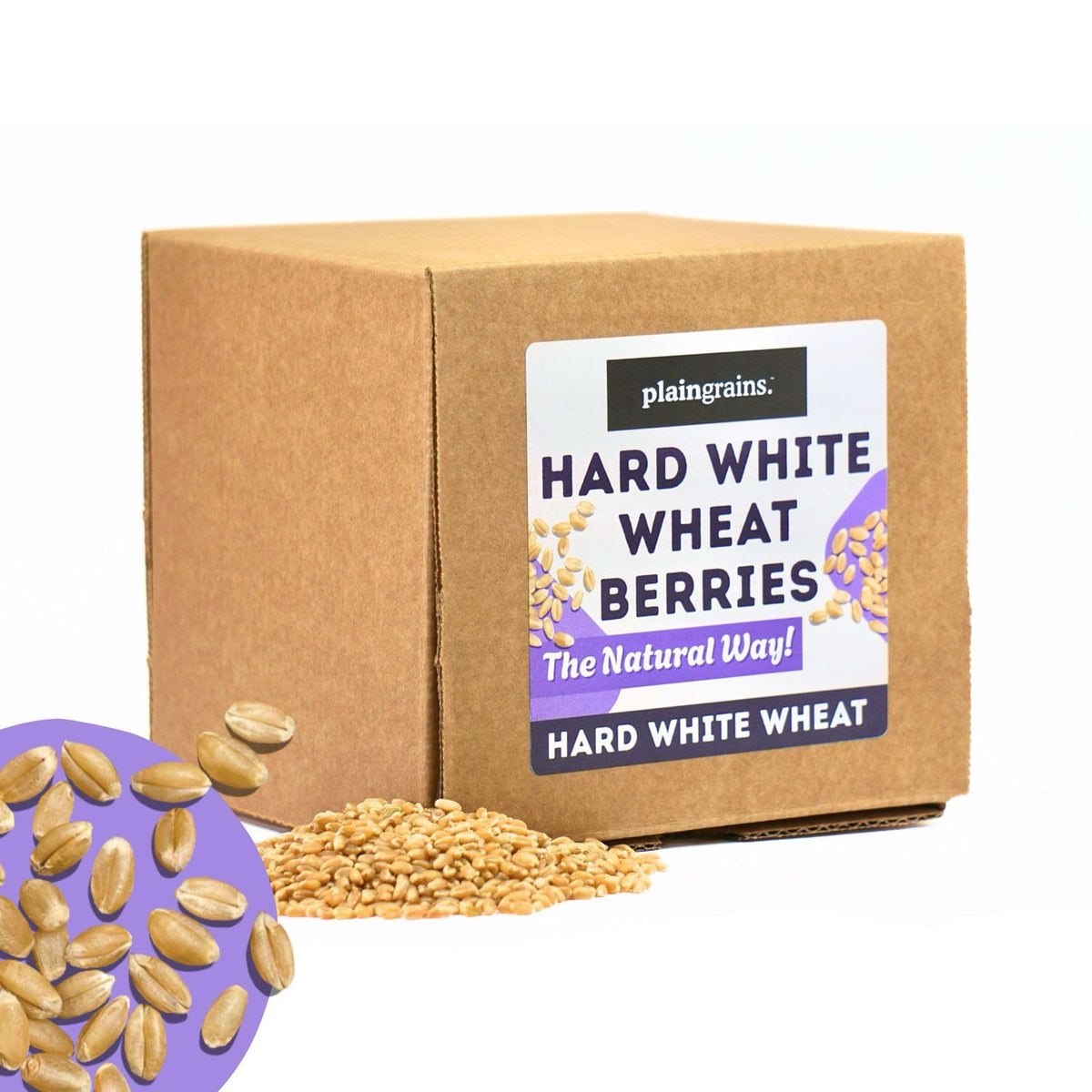5.5 LB Dry Hard White Wheat Berries Whole Grain R638868
