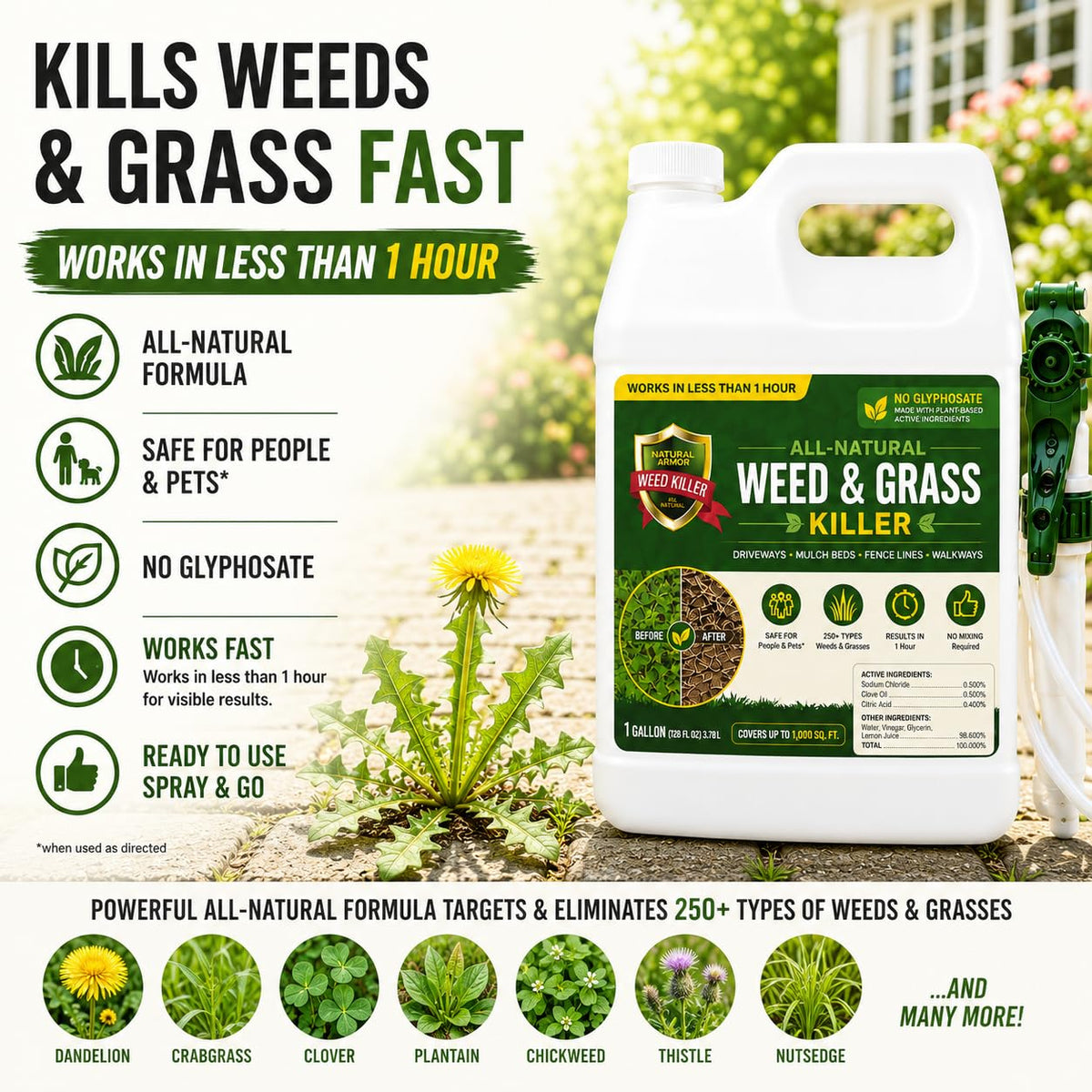 Weed & Grass Killer 1 Gallon with Sprayer Z88715