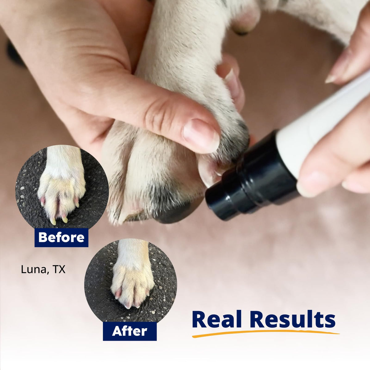 Pet Nail Grinder + Replacement Drum Grinders (3 pcs) + Pet Paw Trimmer F540