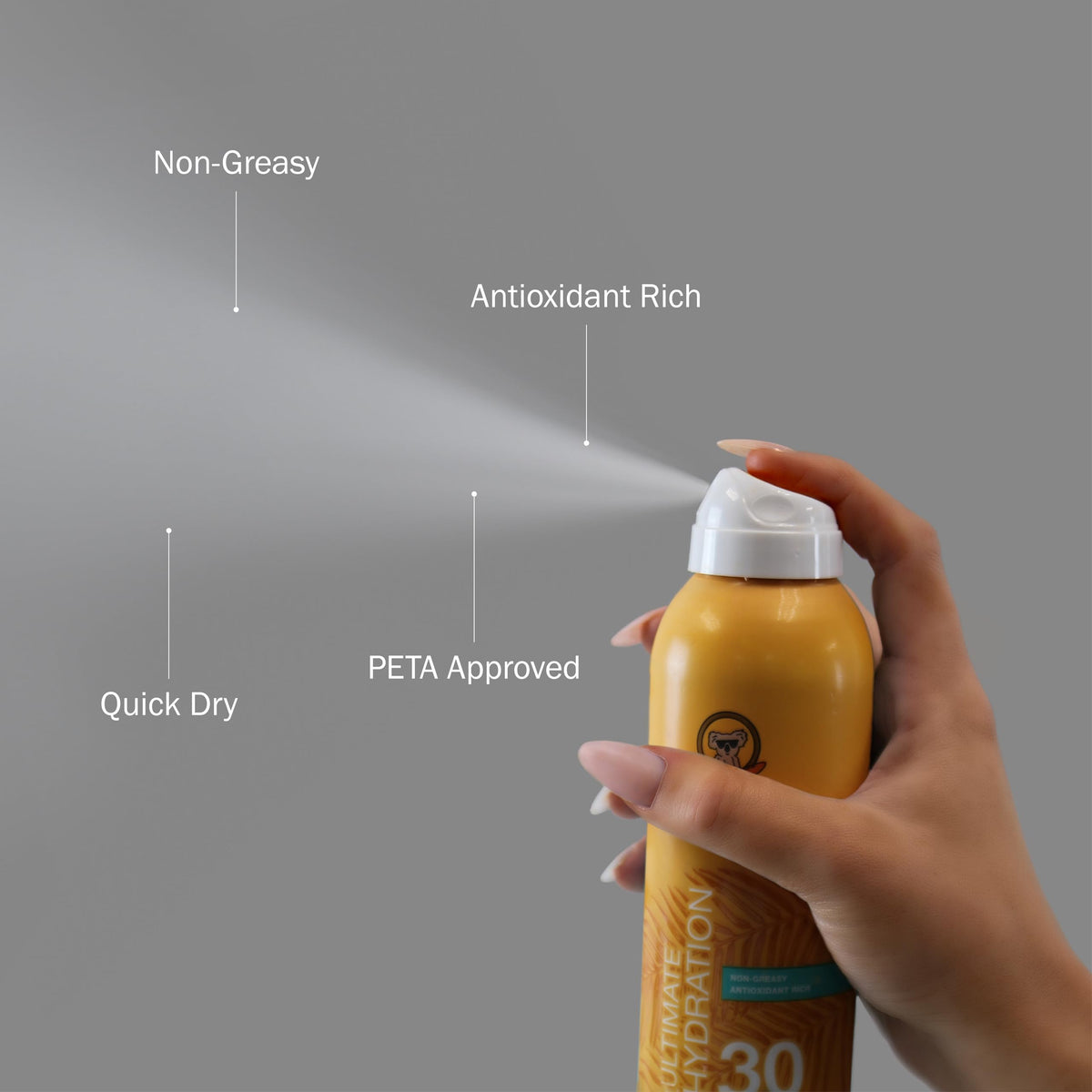 SPF 30 Continuous Spray Sunscreen Q384717