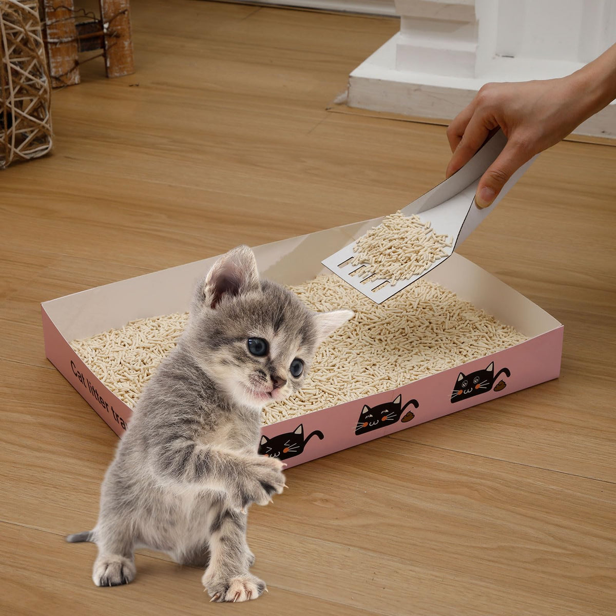 60 Pcs Disposable Cat Litter Boxes with Scoops G645776