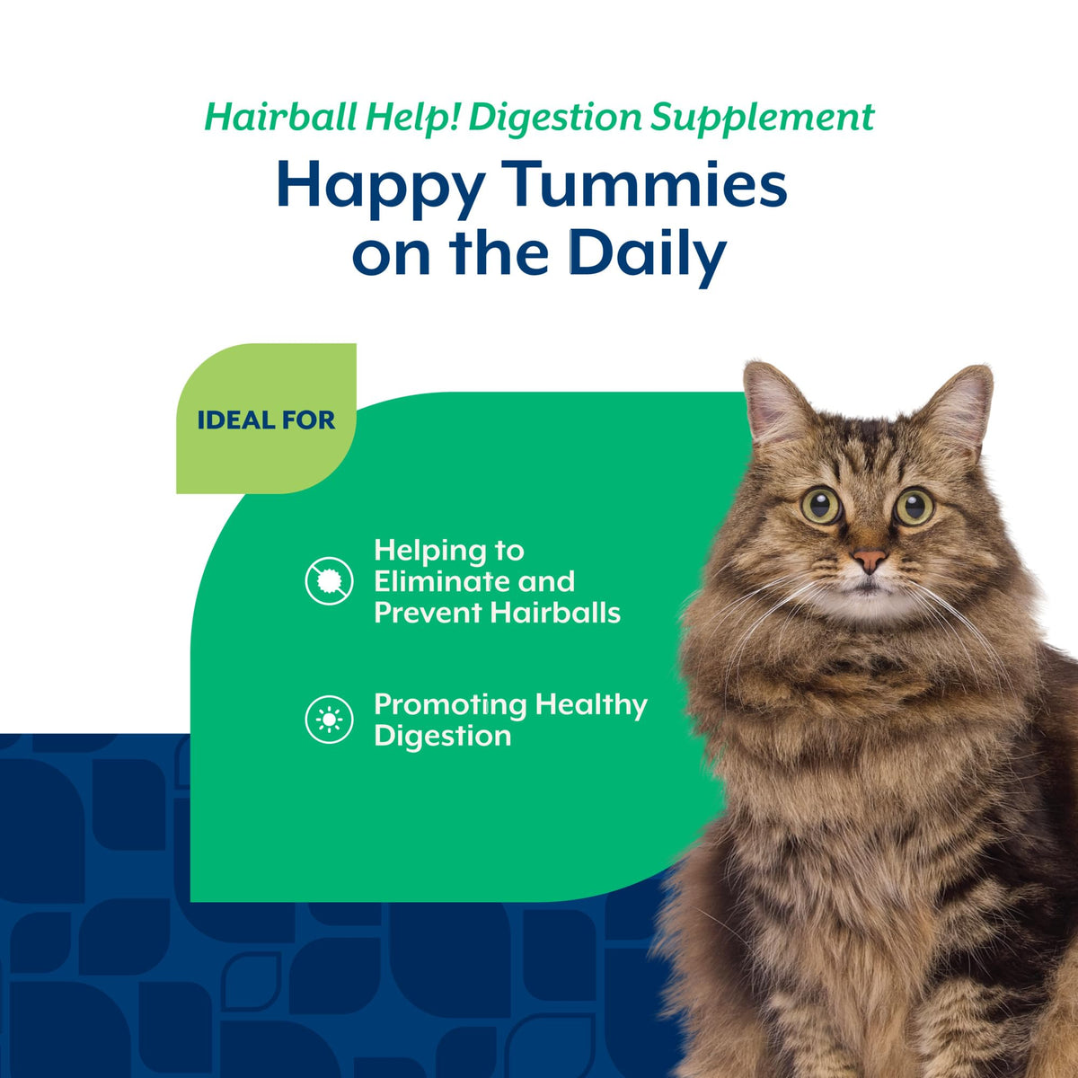 Hairball Aid Supplement for Cats Soft Chews G264