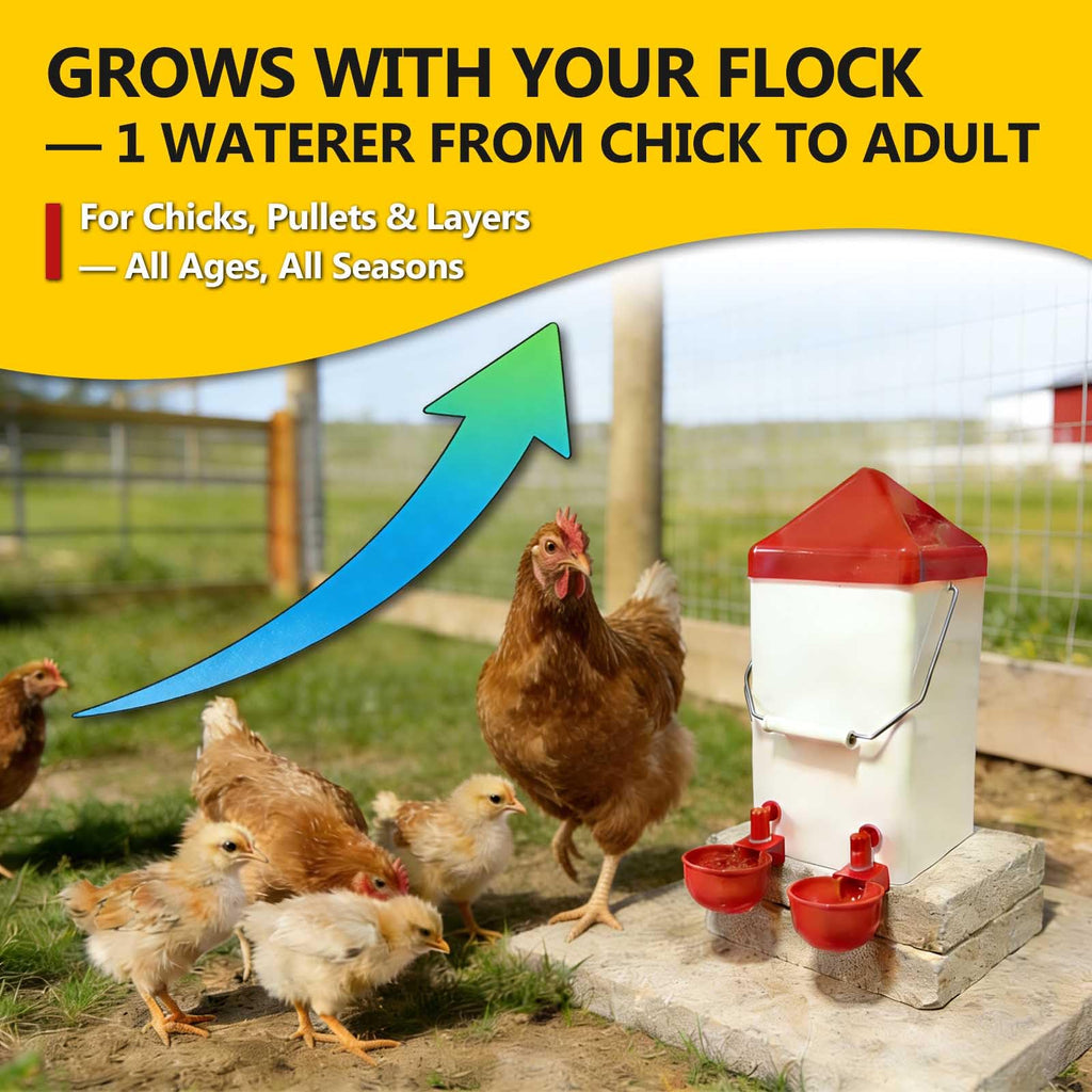 PVC Hanging Chicken Waterer with Hook, 1 Gal W991