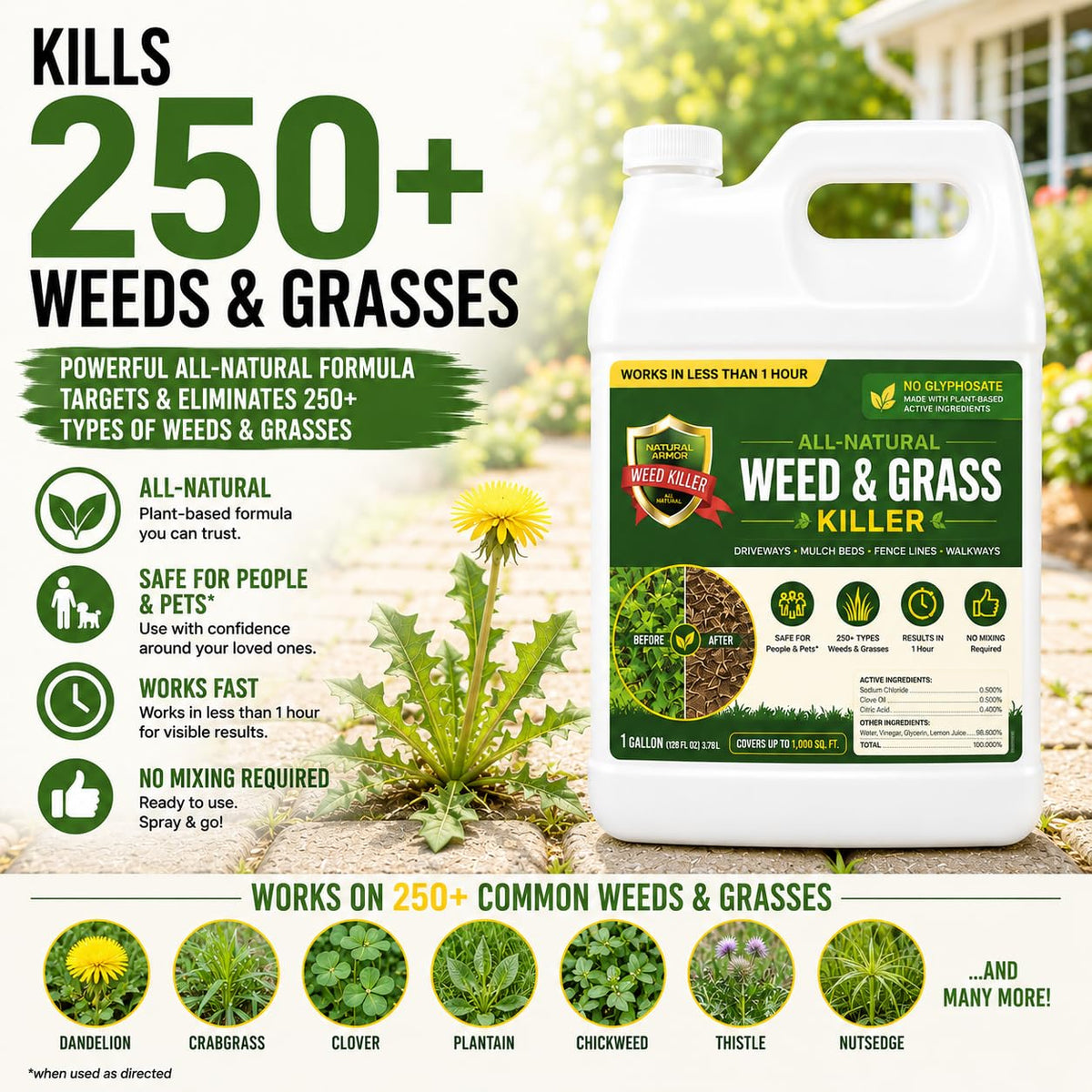 Weed & Grass Killer 1 Gallon with Sprayer Z88715