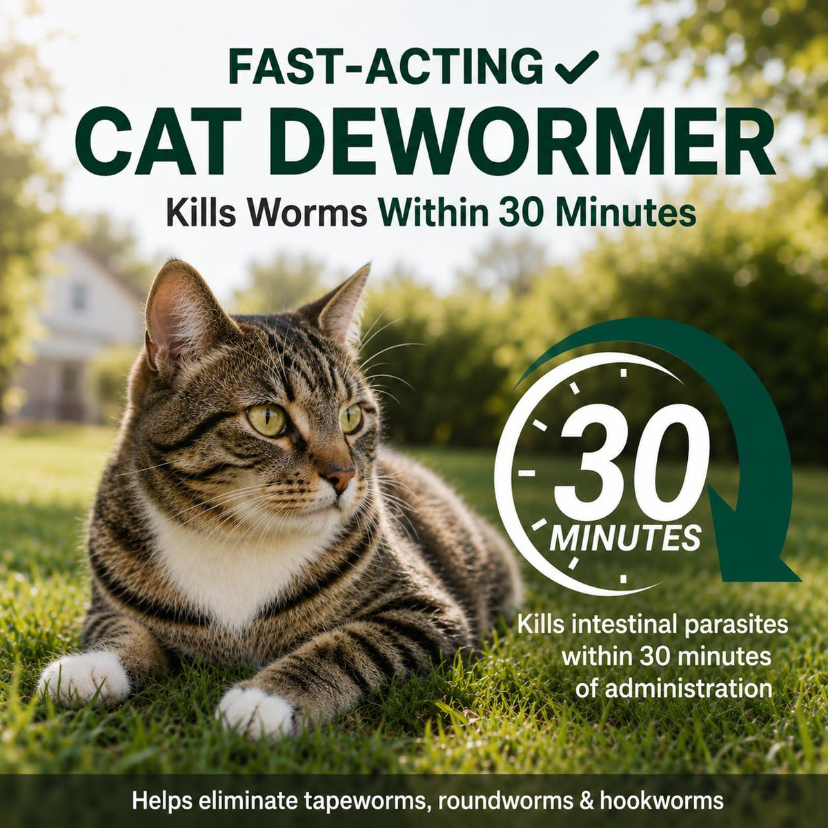 Cat Dewormer Liquid for Tapeworms, Roundworms and Hookworms X573023