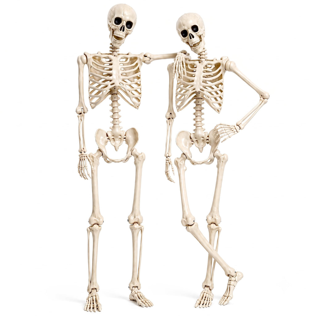 2 Pack 5.4ft Life Size Skeleton with Movable Joints F919