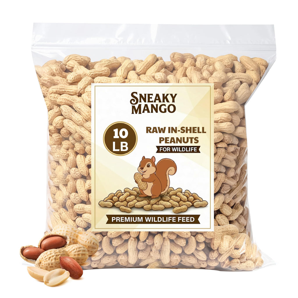 Raw Peanuts in Shell 10 Pounds W29720