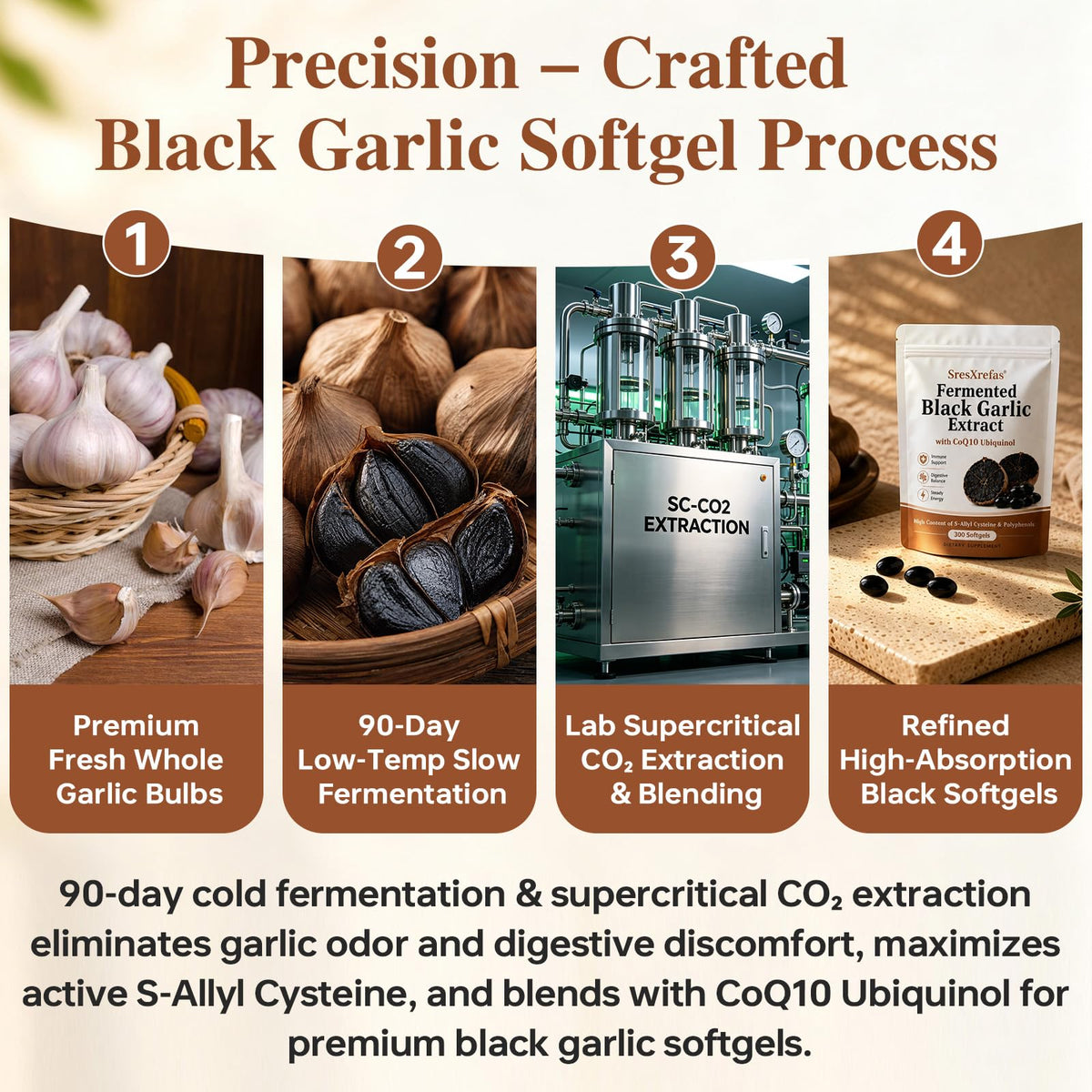 Black Garlic Extract with CoQ10, 300 Softgels H335