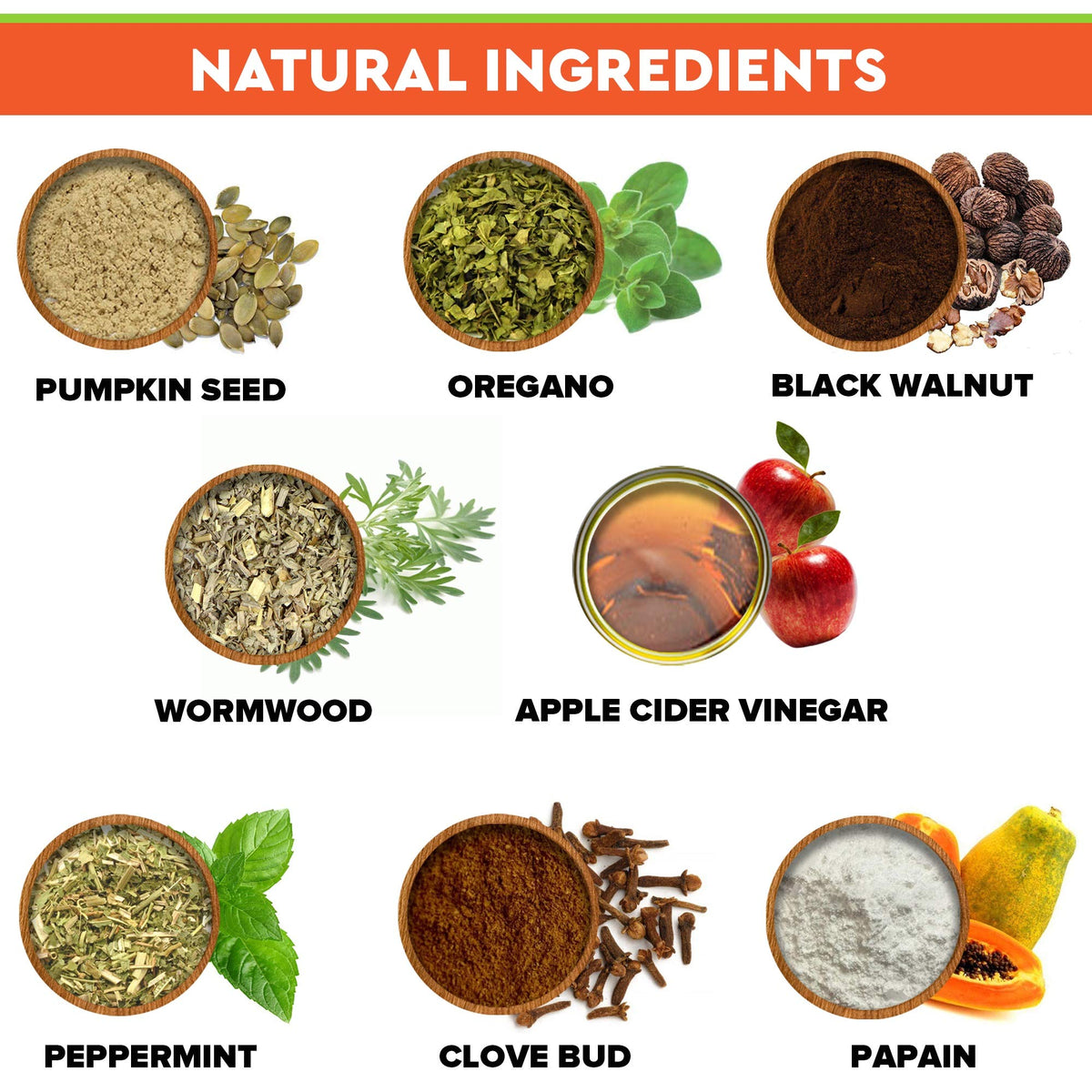 Herbal Cleanse for Dogs and Cats 2fl.oz L865