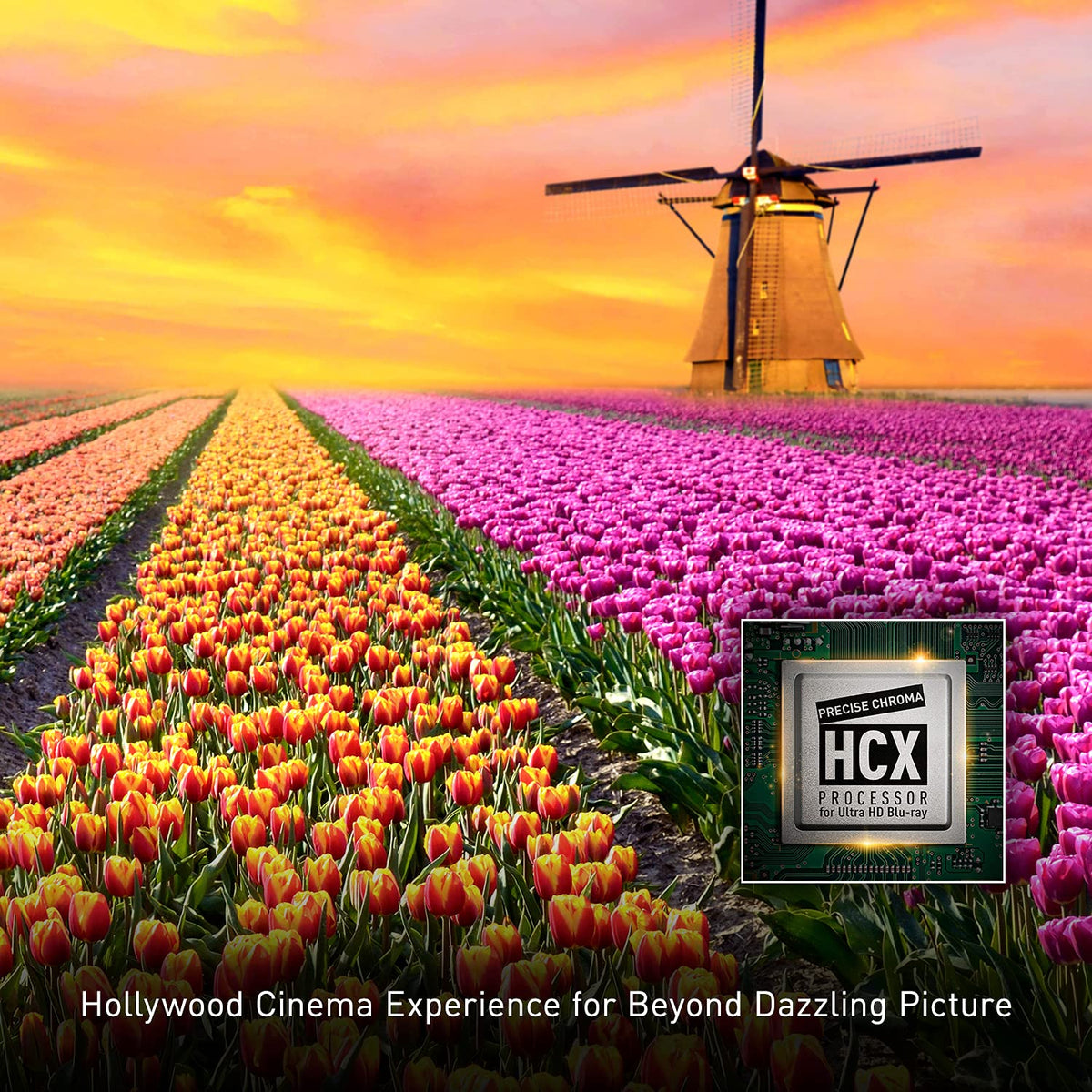 4K Blu Ray Player E893