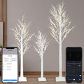 Lighted Birch Trees 4FT 5FT 6FT N460