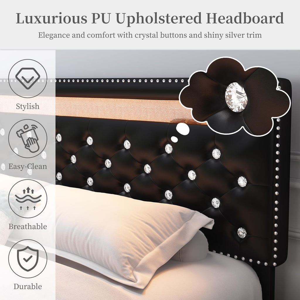 Full Platform Bed Frame with 2 Storage Drawers, Black P503996