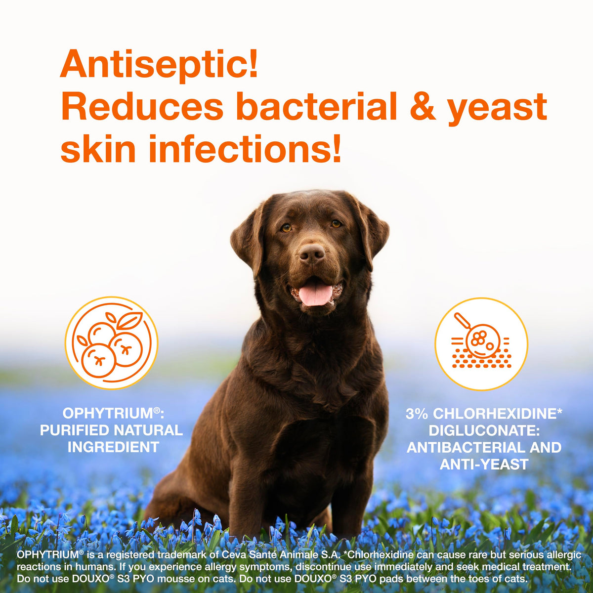 Medicated Dog Shampoo with 3% Chlorhexidine 6.7 fl oz M873