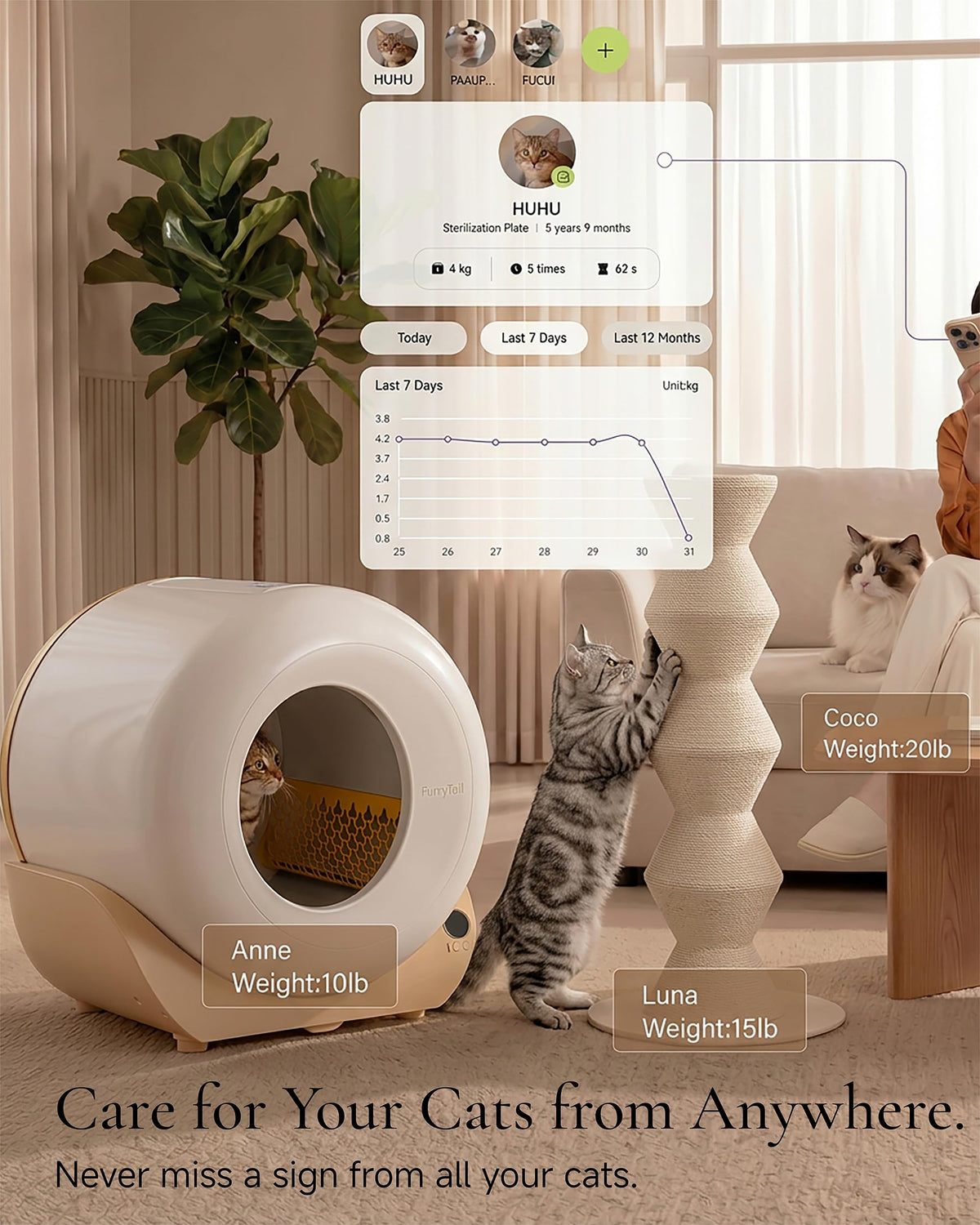 Automatic Self Cleaning Litter Box with Night Light Z808176