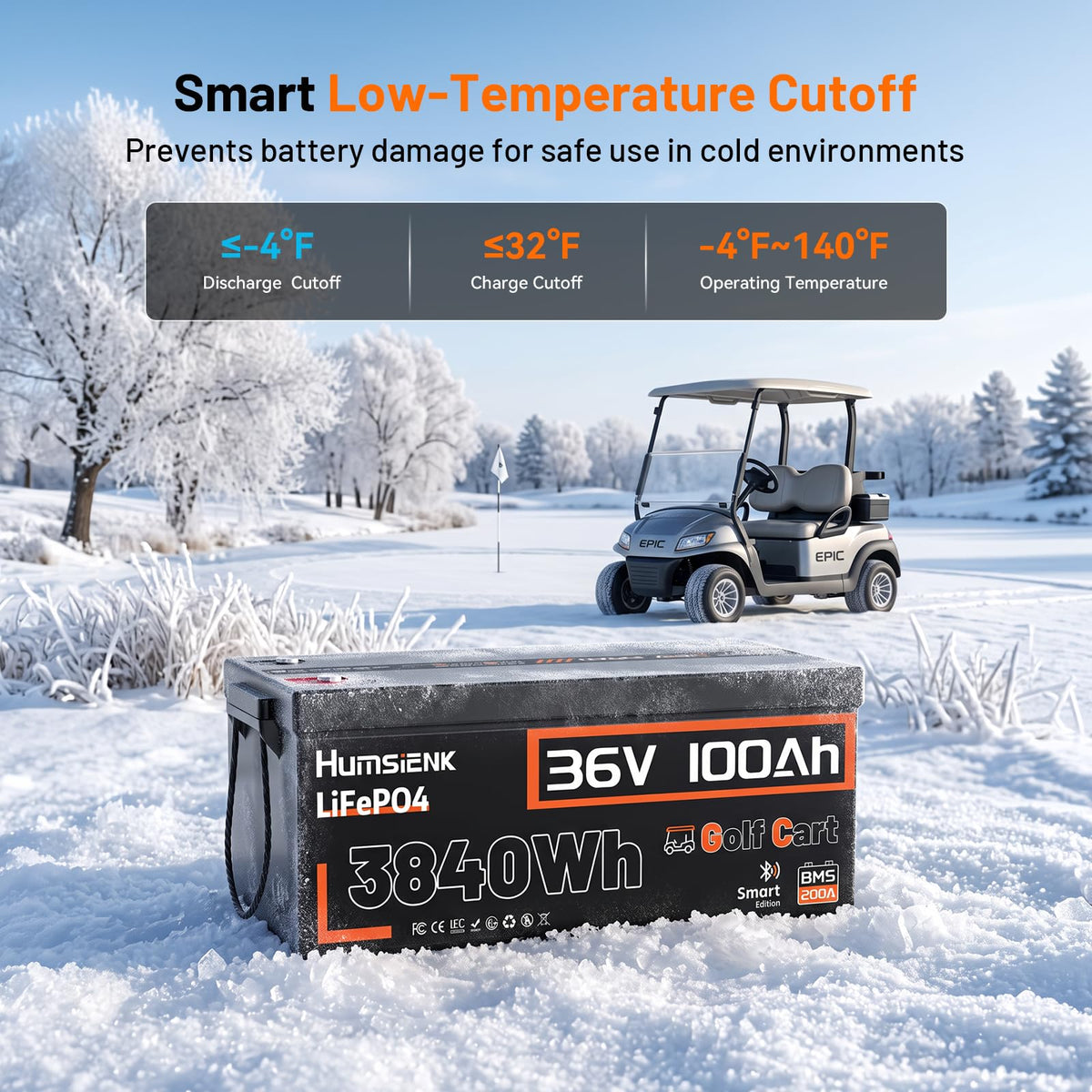 36V 100Ah LiFePO4 Golf Cart Battery with 200A BMS W9810