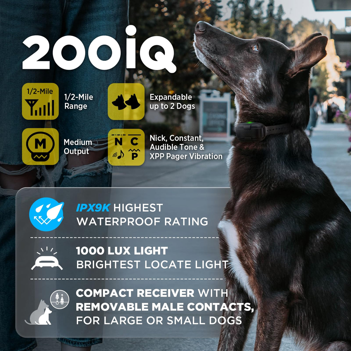 Remote Training E Collar 1/2 Mile IPX9K Waterproof Q143