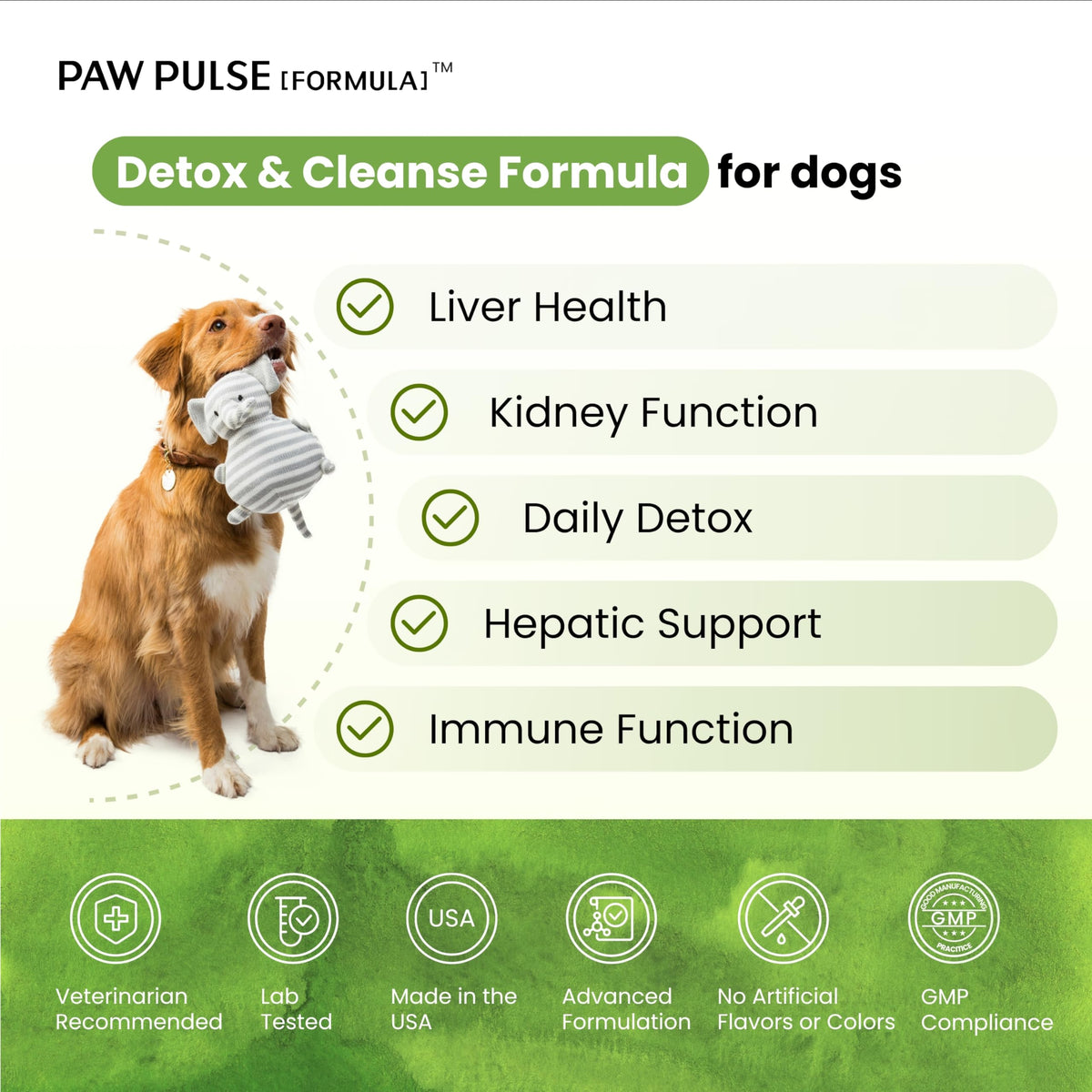 Milk Thistle & Silymarin Powder Liver Support for Dogs 2.12 oz X448
