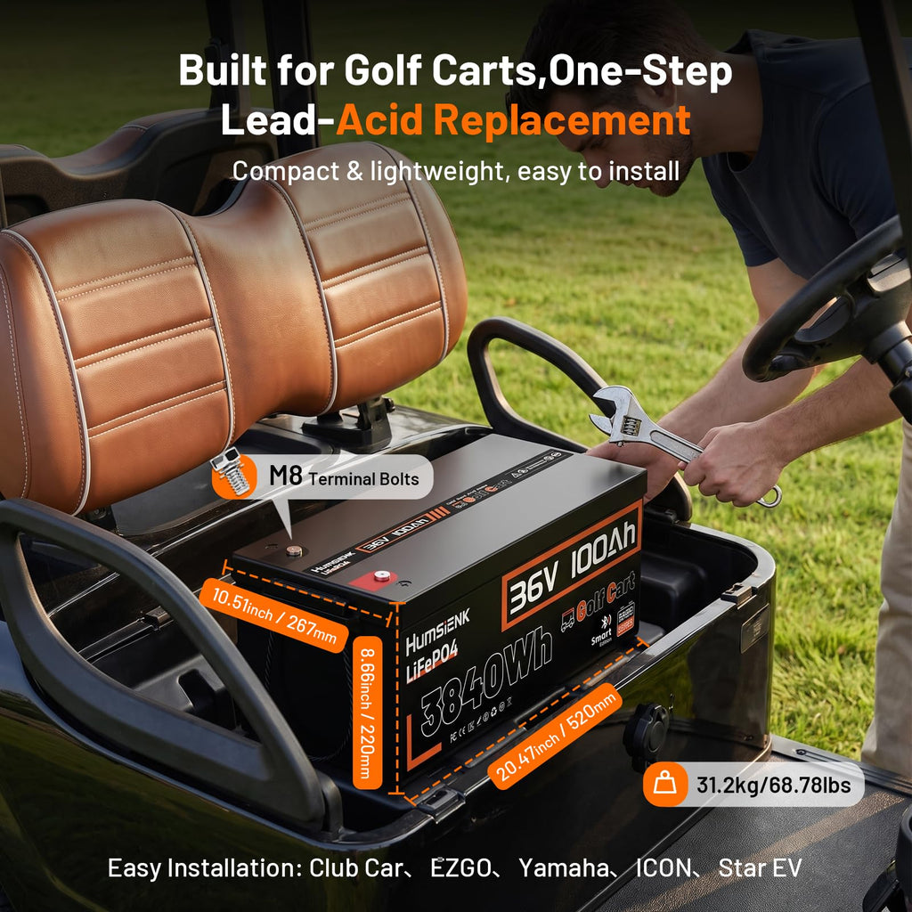 36V 100Ah LiFePO4 Golf Cart Battery with 200A BMS W9810